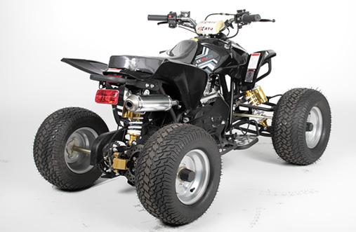 Grizzly Quad