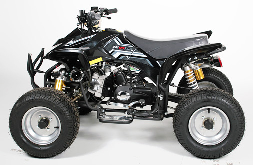 Grizzly Quad