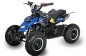 Preview: NITRO MOTORS 49cc mini Kinder Quad Repti DLX 6"