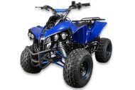 125cc XXL Quad Warrior | Kinderquad | Kinderfahrzeug | Atv | Mini