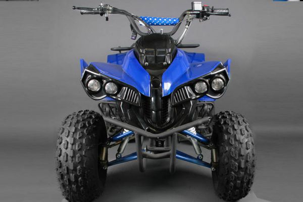 Quad Warrior
