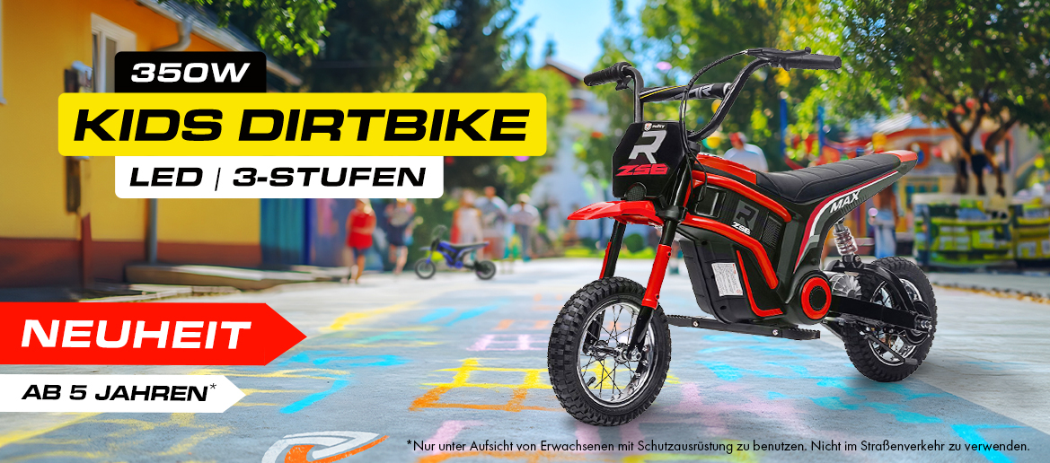 KIDS DIRTBIKE 350W 24V/10Ah