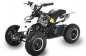 Preview: NITRO MOTORS 49cc mini Kinder Quad Repti DLX 6" E-Start