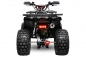 Mobile Preview: NITRO MOTORS 125cc midi Kinder Quad Rugby RS8-A Platin