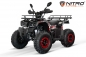 Preview: NITRO MOTORS 200cc maxi Kinder Quad Reptile RS10-CVT Platin