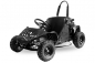 Preview: Nitro Motors GoKid 80cc LIFAN Motor Automatik Pullstart 6 Zoll Offroad Kinderbuggy