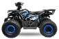 Mobile Preview: NITRO MOTORS 125cc midi Kinder Quad Rocco RS8-A Platin