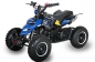 Preview: NITRO MOTORS 49cc mini Kinder Quad Repti DLX 6" E-Start