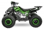 Preview: NITRO MOTORS 125cc midi Kinder Quad Rizzo RS8-3G Platin