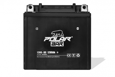 Polar Bär Blei Gel Akku Batterie 12N9-BS 12V 9Ah wartungsfrei Starterbatterie