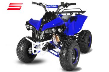 Menila Import - Nitro Motors Warrior RG8 S 125cc Midi Quad 8 Zoll Automatik  + RG Kinderquad ATV