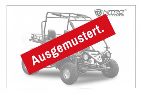 200 ccm Maxi Buggy ölgekühlt E-Start Automatik Rückwärtsgang Offroad