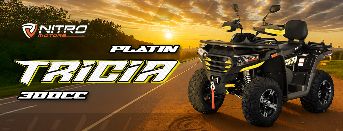 Tricia CVT Platino de 12 pulgadas