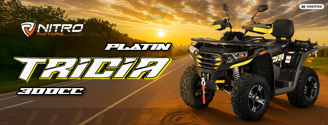 Tricia CVT 12 Zoll Platin